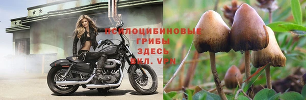 крисы Алексеевка