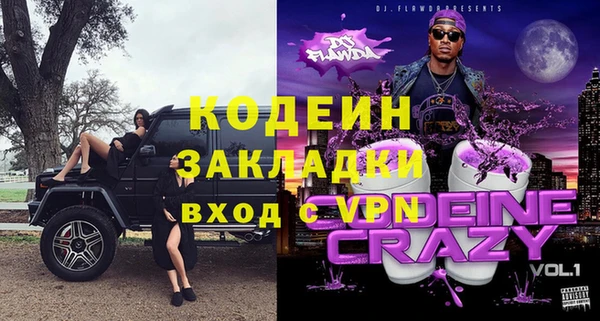 крисы Абаза