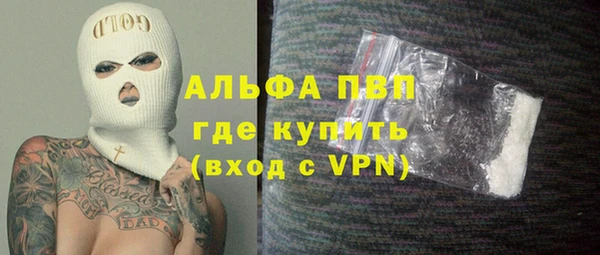 крисы Абаза