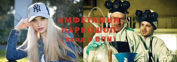 крисы Абаза