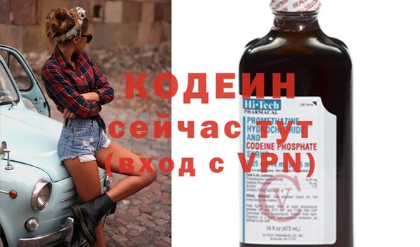 крисы Абаза