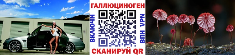 Псилоцибиновые грибы Cubensis Алдан